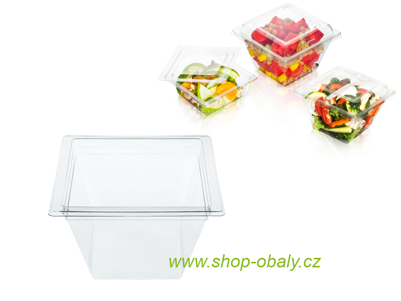 Miska rPET 500ml Vision 116x116x70mm transparentní