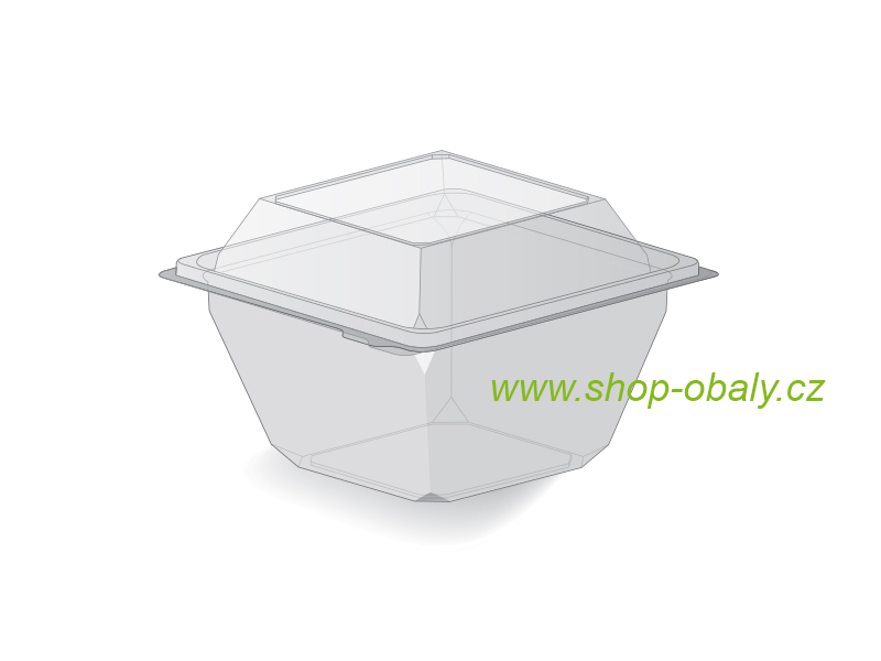 Miska rPET 250ml,  111x106mm/71mm,  FR250 čtvercová s víčkem anti-fog,  transparent
