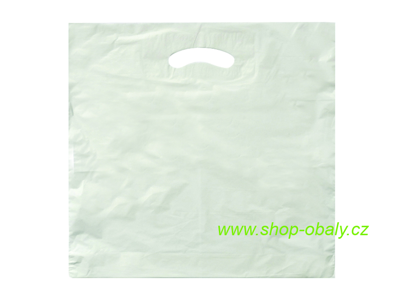 Taška LDPE 55x60x5cm,  průhmat,  plochá oděvní bílá